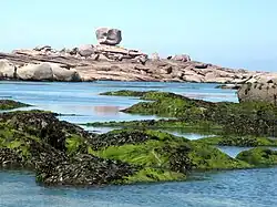 Platier rocheux fortement diaclasé, perturbé par un chaos de blocs émoussés (île Renote).
