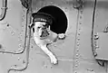 « Venus », un bulldog qui était la mascotte du navire HMS Vansittart&nbsp;(en) en 1941.