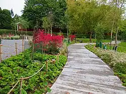 Sentier pédestre sinueux à Björkbrynet.