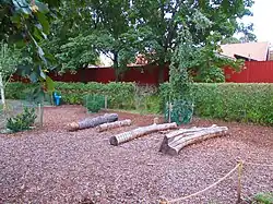 Bois mort à Boksalen.