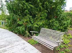 banc de parc Stockholm Sofa et conifères Barrskogen.