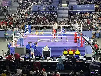 Image illustrative de l’article Ingrit Valencia