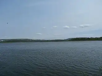 Image illustrative de l’article Étang Burbank