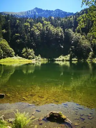 Image illustrative de l’article Étang de Guzet