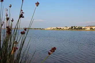 Image illustrative de l’article Étang de Mateille