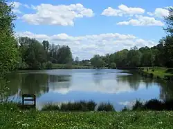 étang de l'Aubépine