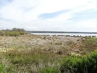 Vue prise depuis l'affût du Genévrier.