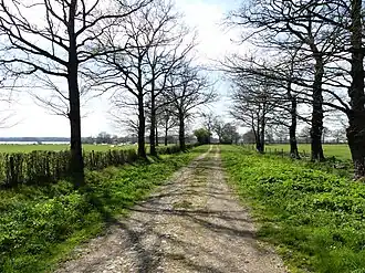 Le chemin des Brouilles au nord de l'étang.