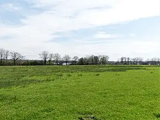 Le chemin des Brouilles au nord de l'étang des Landes.
