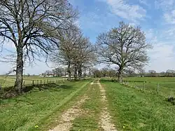 Le chemin des Brouilles au nord de l'étang des Landes.