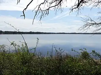 Image illustrative de l’article Étang des Landes (ZNIEFF)