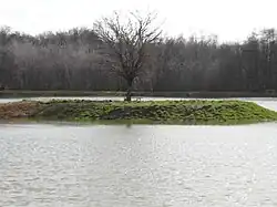 Étang des Sermettes.