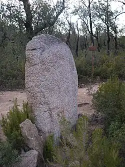 Le Menhir dels Estanys I.
