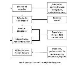 Un graphique comportant 5 boites qui se suivent verticalement depuis celle des sources de données jusqu'à celle de la prise de décision, décrivant les 5 étapes de la surveillance épidémiologique. Sur la droite d'autres boites liées horizontalement aux premières avec le nom des acteurs correspondant à chaque étape