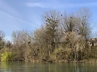 Image illustrative de l’article Île des Gords