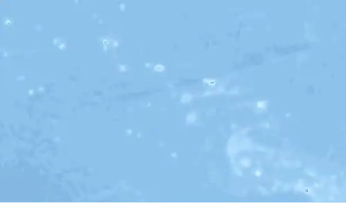 Carte des Îles Australes