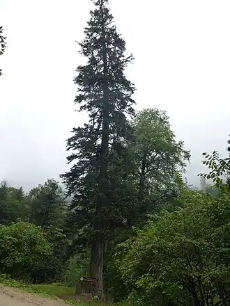 Description de cette image, également commentée ci-après