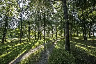 Parc de la nuit de la Saint-George