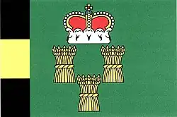 Drapeau de Číčenice