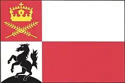 Drapeau de Černilov