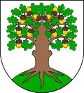 Blason de Český Dub