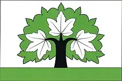 Drapeau de Šimonovice