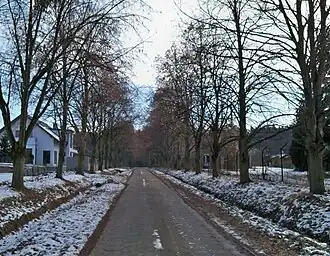 Żabieniec (Piaseczno)