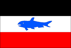 Drapeau de Žilov