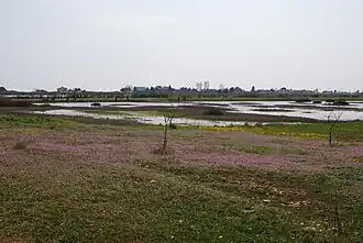 Image illustrative de l’article Ismarída