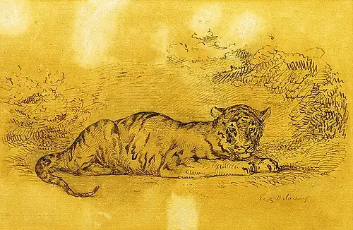 Tigre menteur, dessin au stylo et encre sur papier, 19&nbsp;×&nbsp;29&nbsp;cm, Athènes, Collection du Parlement grec.