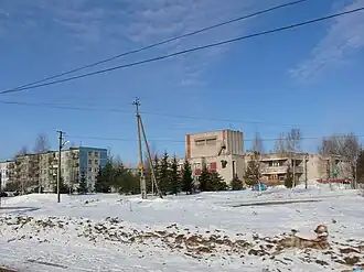 Borki (raïon de Novgorod)