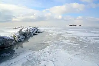 Réserve Koutchougouri.