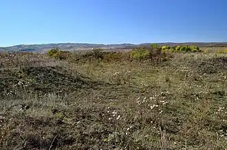 Raïon de Tretiakovo