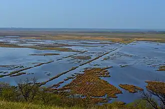 Plaine inondable de Berda.