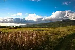 Prairie jaunâtre s'étendant sous un ciel bleu, avec des monts recouverts de forêts en arrière-plans, monts recouverts de nuages gris.