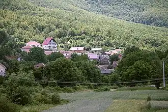 Obednik
