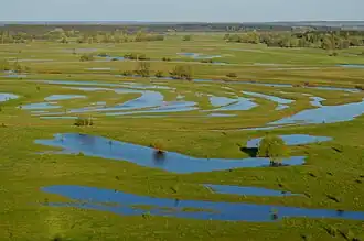 la réserve de Miropilskyi, classée,