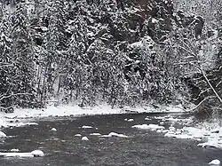 Forêt enneigée près de la rivière Gobilli&nbsp;(ru), krai de Khabarovsk, en octobre 2014.