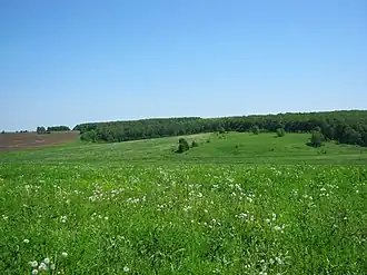 Raïon de Boutourlino