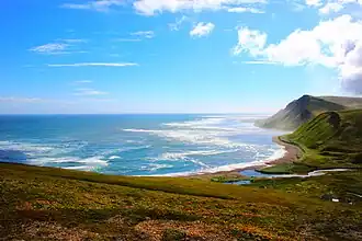 Raïon des Aléoutiennes