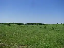 Vasylyshyne, patrimoine naturel.