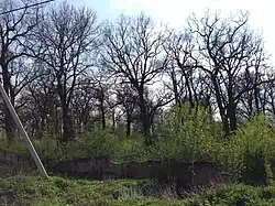 Réserve naturelle, classée,