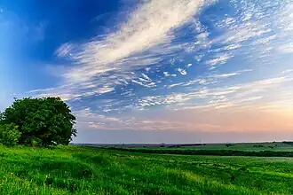 Image illustrative de l’article Plaine du Khanka