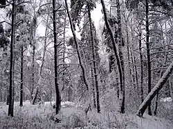 District de Kastsioukovitchy, voblast de Moguilev (Biélorussie), 2008