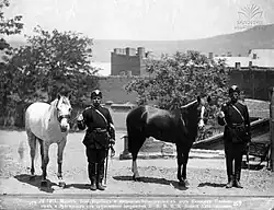Photographie en noir et blanc de deux chevaux et deux militaires qui les tiennent