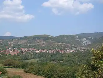 Kamenica (Pantelej)