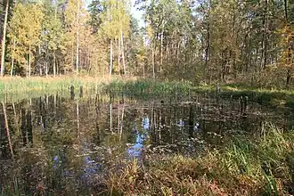la plaine inondable,