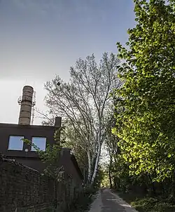 Le Bosquet Kirillivsky classé n° 80-385-5003 et n° 80-391-0243.