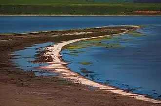 La flèche classée,