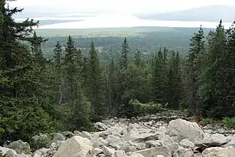 Description de cette image, également commentée ci-après